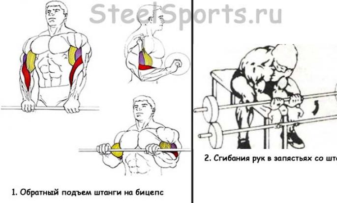 前腕をパンプアップする方法：筋力と筋力