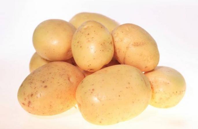 Bagaimana dan kapan menanam kentang di Siberia Kapan menanam kentang di stavropillia