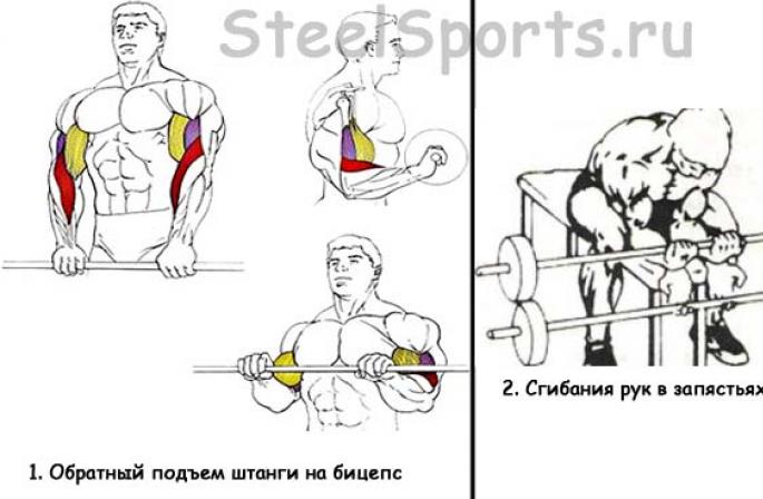 前腕をパンプアップする方法：筋力と筋力